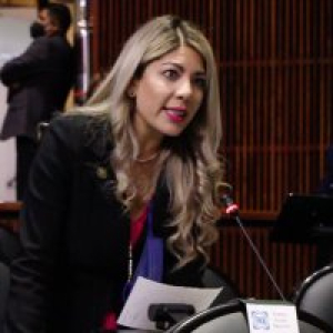 Analiza PAN posibles candidatos a la gubernatura para el 2027