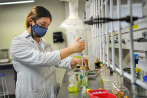 Participa UACH en Diplomado en materia de  perspectiva de g&eacute;nero en conjunto con la Embajada Francesa