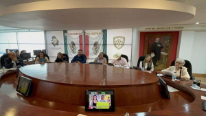 propone diputado quitar sistema plurinominal