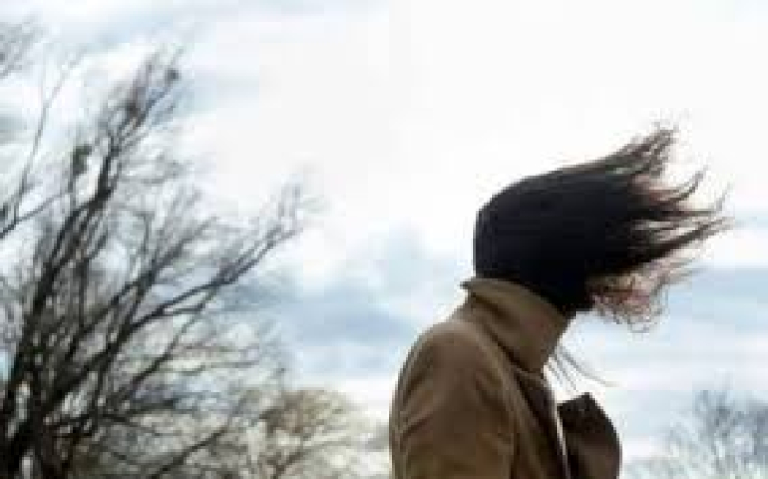 Alerta Municipio por r&aacute;fagas de vientos de hasta 75 kil&oacute;metros por hora