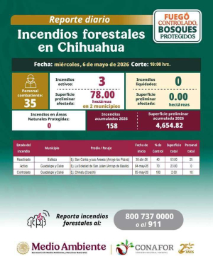 Reavivan incendios; brigadistas trabajan en la zona serrana
