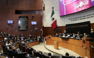 Fundaci&oacute;n Queta Santiesteban denuncia ineficiencia del Imss en el senado
