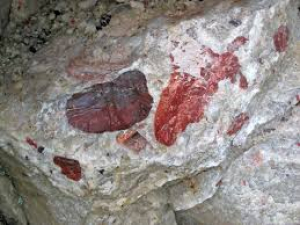 Asesinan a ind&iacute;gena con una piedra en parque recreativo