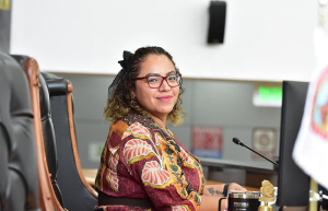 Pide diputada que licencias de conducir sean permanentes