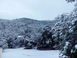 Reporta CEPC ca&iacute;da de nieve en 3 municipios ante el desplazamiento de la Novena Tormenta Invernal