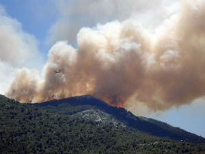 Detectan ocho incendios activos en la Sierra Tarahumara