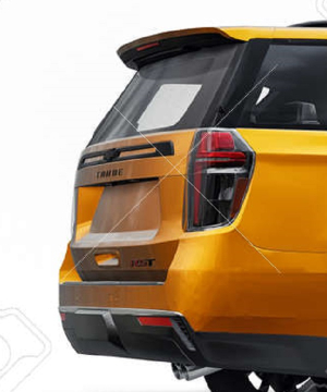 Atropella de manera intencional a dos perros y los mata