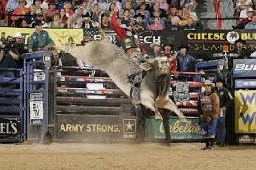 Destacan vaqueros locales  en campeonato internacional de monta de toros en Feria de Santa Rita