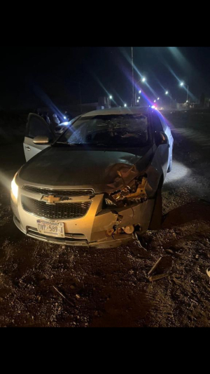 Accidente por semovientes en An&aacute;huac deja da&ntilde;os millonarios