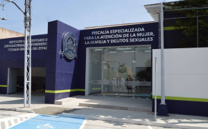 Analizan la creaci&oacute;n de la fiscalia de torturas