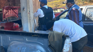 Encuentran autos robados en Yonques de la region