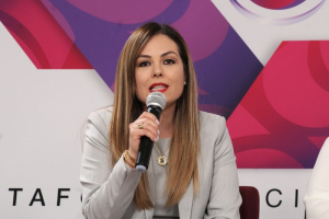 Dif&iacute;cil momento que viven organismos de transparencia: Selene Prieto