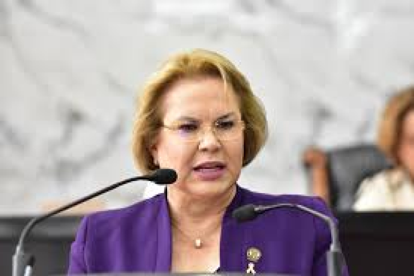 Sera Adriana Terrazas representante del Gobierno del Estado en la CDMX